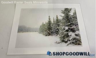 "Snow Scene" Print In Mat By Cindy Taylor