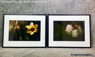 2 "Spring's Herald" "Christened" Jim G Signed Flower Still Life 14"x11" Photos