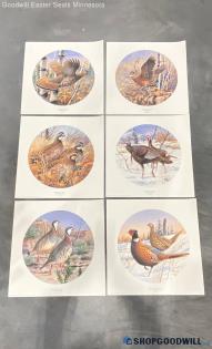 6 Killen Grouse Quail Turkey Partridge Pheasant+ Bird Wildlife 17.5" Art Prints