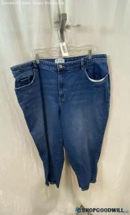 Lane Bryant Women's Blue Wash Straight Leg Jean - Sz 22