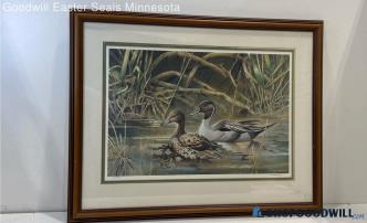 A. Sakravanz Signed Matted & Framed Northern Pintail Ducks Art Print 501/950 PU