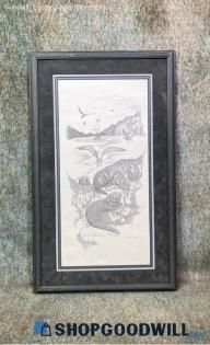 "On The Rocks" Freda Ballard Signed Otter Seagull Wildlife 220/1500 Print Framed