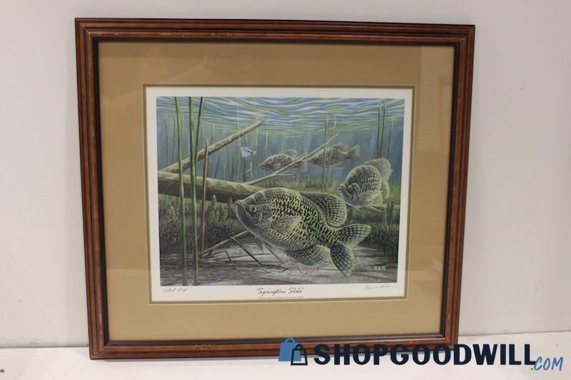 Framed Artist Proof Print 'Springtime Slabs-Crappies' Signed by Ron J. M. 