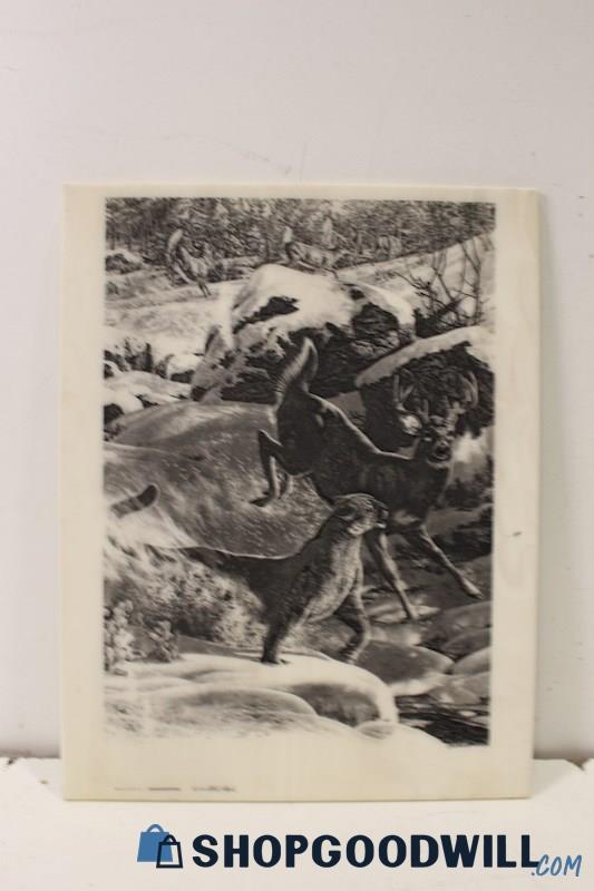 'Dinner on the Run; Cougar-Whitetail' '78 Print on Montana Marble Bill O'Neill 