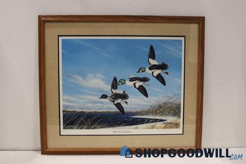 'Black Dog Goldeneyes-Ducks' Framed, Matted &Signed Art Print 369/450 R Schiebel