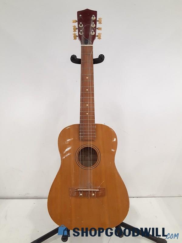 Mountain FN30 Acoustic Guitar