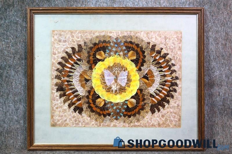 Framed Butterfly Moth Insect Wing Specimen Art Nature Unbranded Unsigned Decor