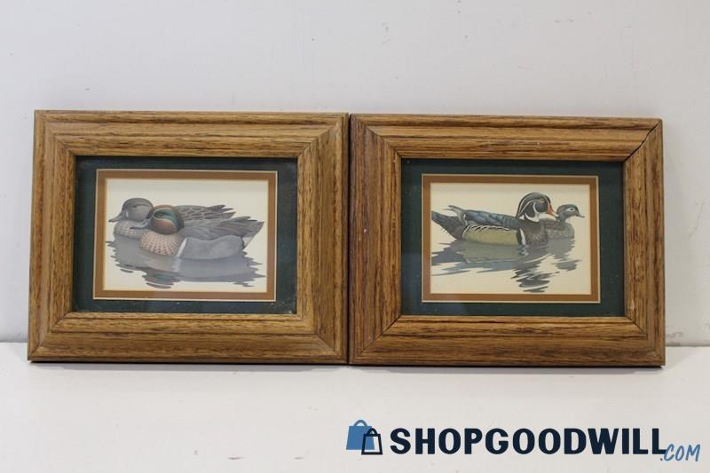 Pair Richard Sloan Unsigned Framed Wildlife Duck Prints 'Mallards'&'Wood Ducks'