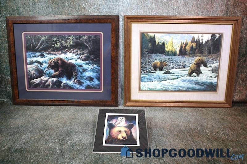 3 Bear Catching Fish Forest River & Owl Nature Wildlife Print Signed Various Art