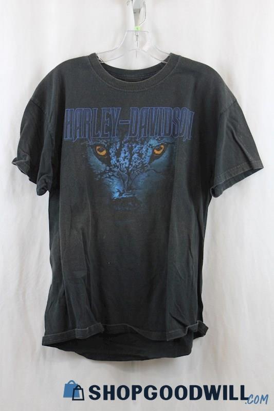 Harley Davidson Men's Black/Blue Graphic T-Shirt SZ L