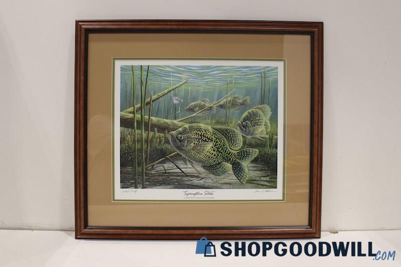 Ron O Nelson (RON) signed Artist Proof Framed Crappie Print 'Springtime Slabs'