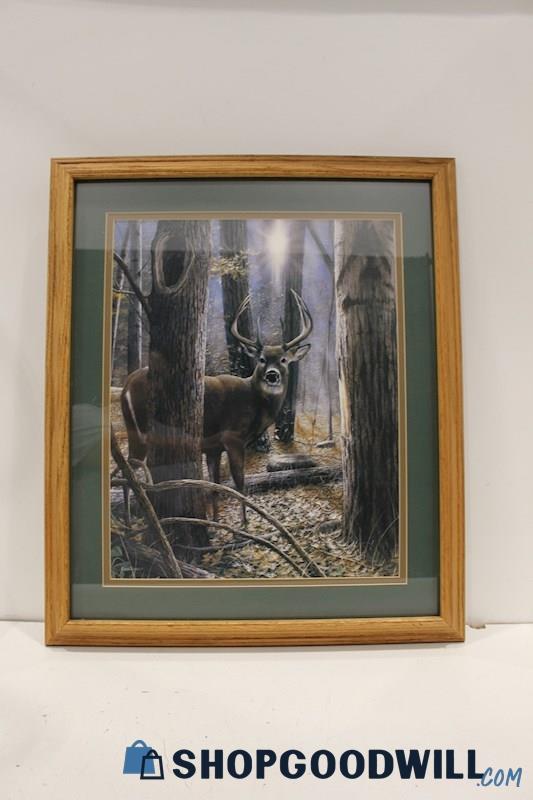 'Woodland Sentry' Framed Deer in Nature Art Print Unsigned by Kevin Daniel 