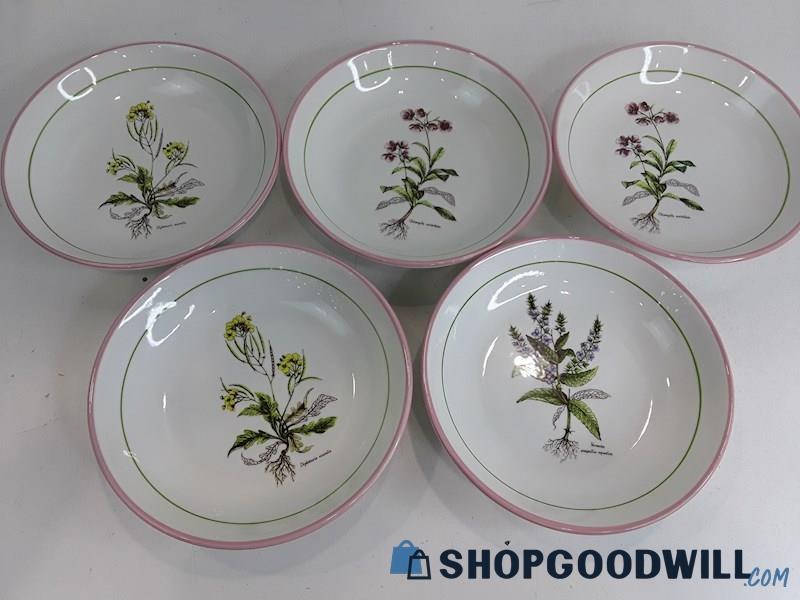 Primula 5pc flower Art Pink Rim Dinnerware Bowls Made In Italy 