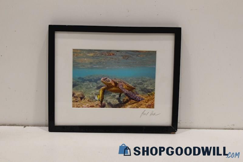 'Underwater Giant Sea Turtle' Framed Photograph Print Signed Brad Paul