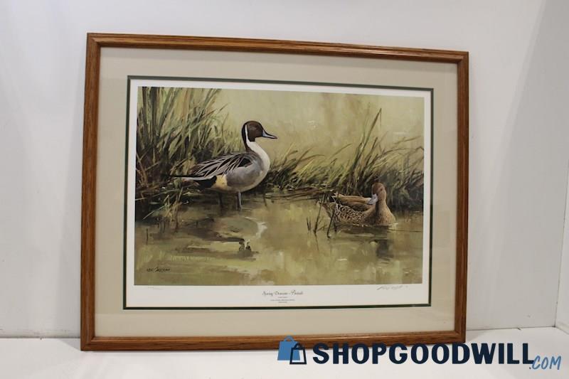 'Spring Domain-Pintails' Framed Duck Print Signed Ken Carlson 2356/5300 PICKUP