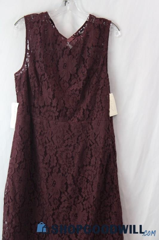 NWT Eva Mendes Women's Purple Lace Dress Sz 14