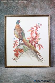 "Ring Necked Pheasant" Peterson Facsimile Signed Wildlife Bird Print Framed