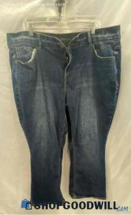 Lane Bryant Women's Blue Jeans - Sz 22