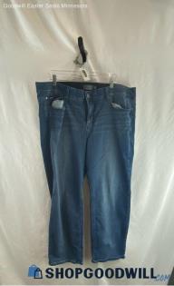 Torrid Women's Blue Jeans - Sz 24