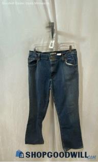 Levis Women's Blue Regular Jeans - Sz 12