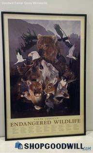 North American Endangered Wildlife Framed Animal Poster Print Eddie LePage PU