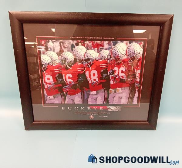 Ohio State Buckeye Football Team Picture | ShopGoodwill.com