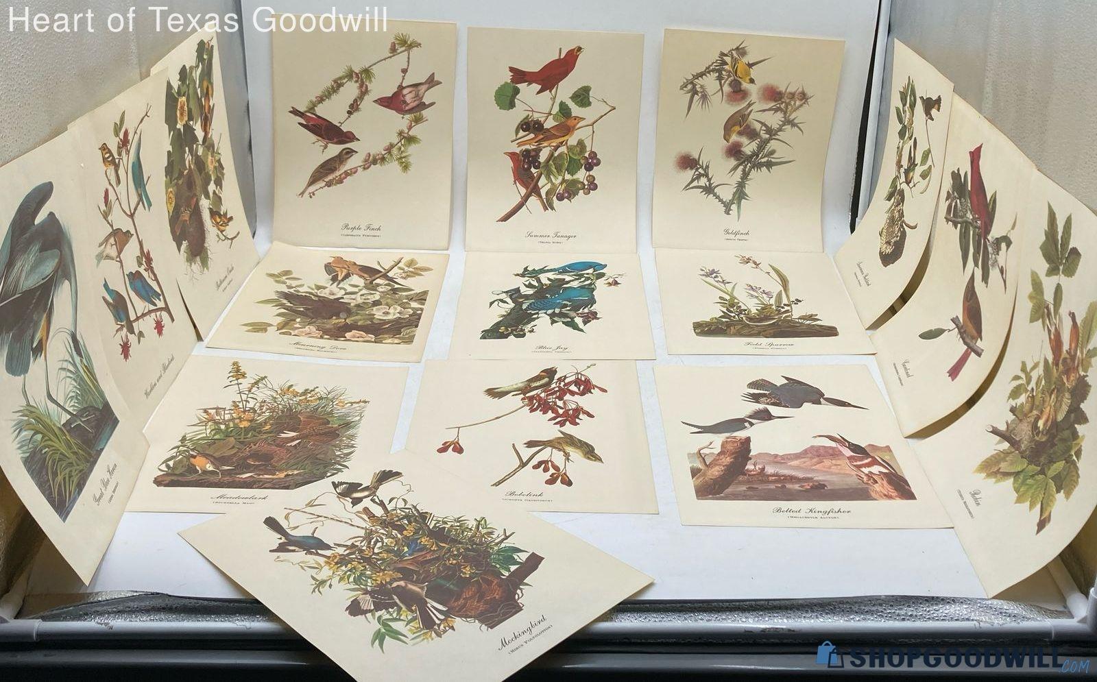 Asst Lot John James Bird Art Prints | ShopGoodwill.com