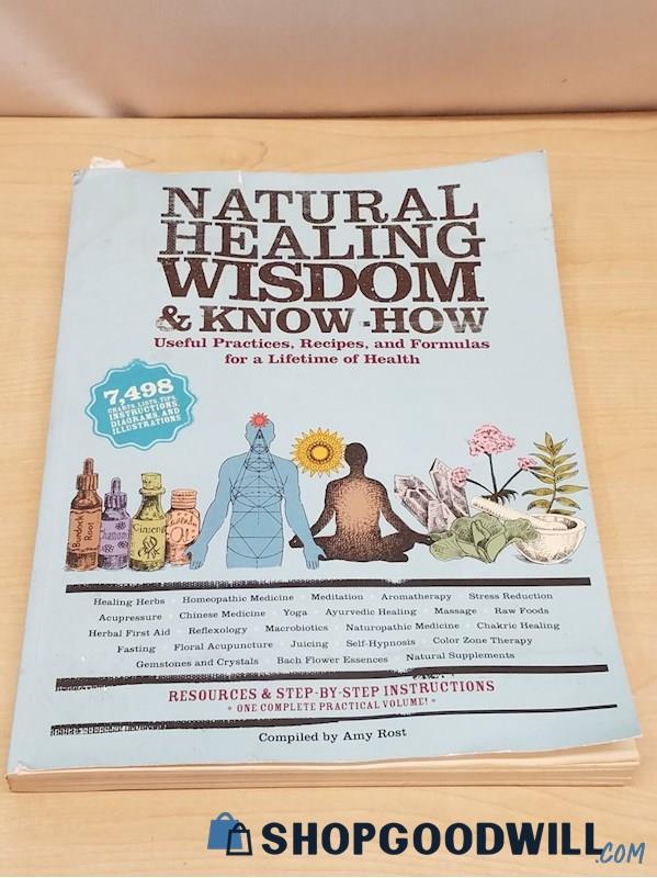 Natural Healing Wisdom And Know How Book Amy Rost - shopgoodwill.com