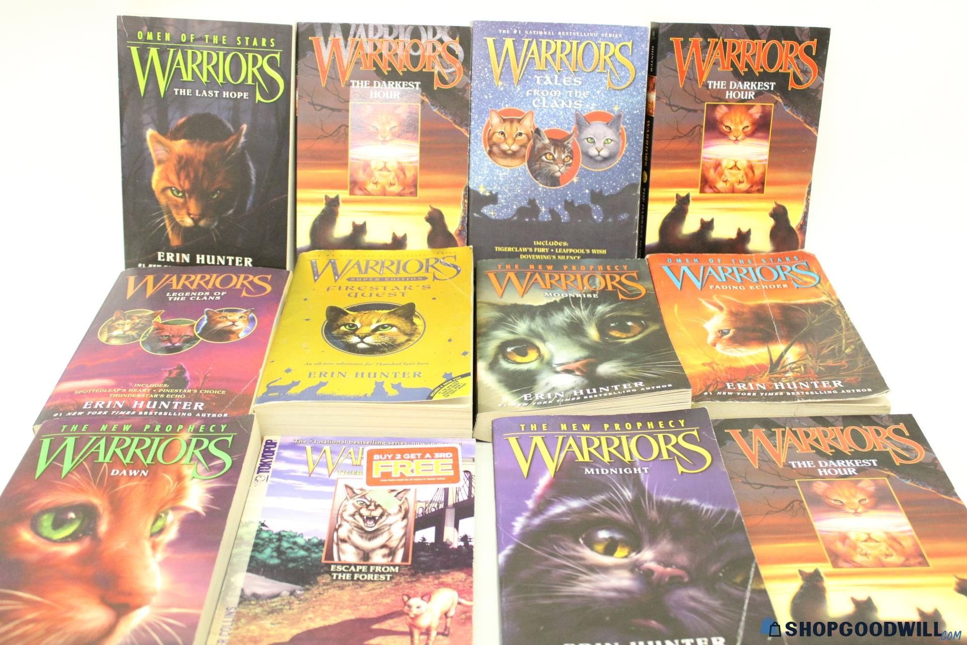 Fantasy Paperback Book Lot - shopgoodwill.com