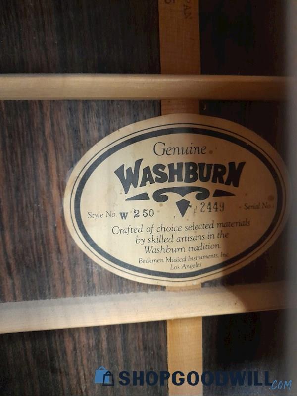 Washburn W-250