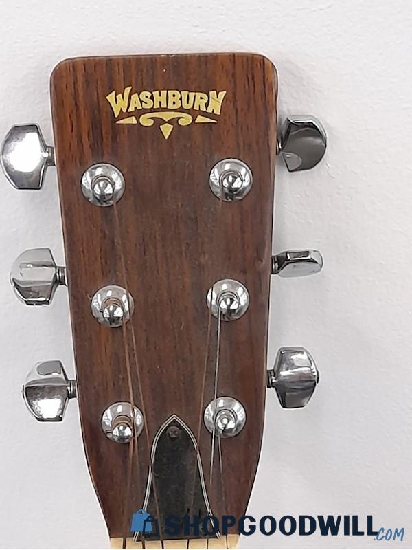 Washburn W-250