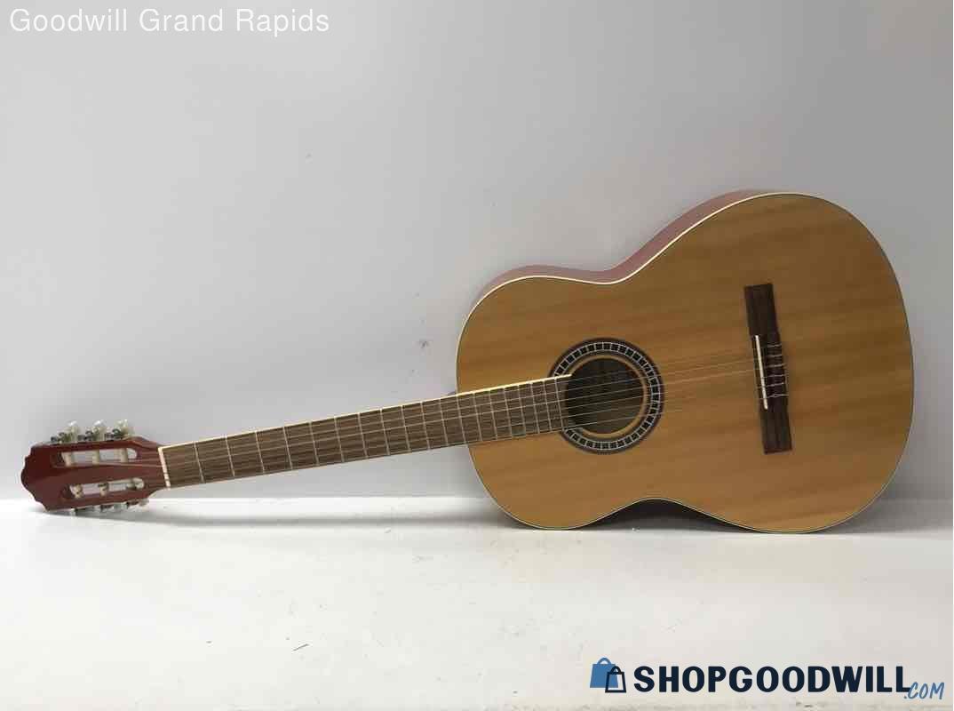 Giannini Acoustic Guitar W/ Case | ShopGoodwill.com